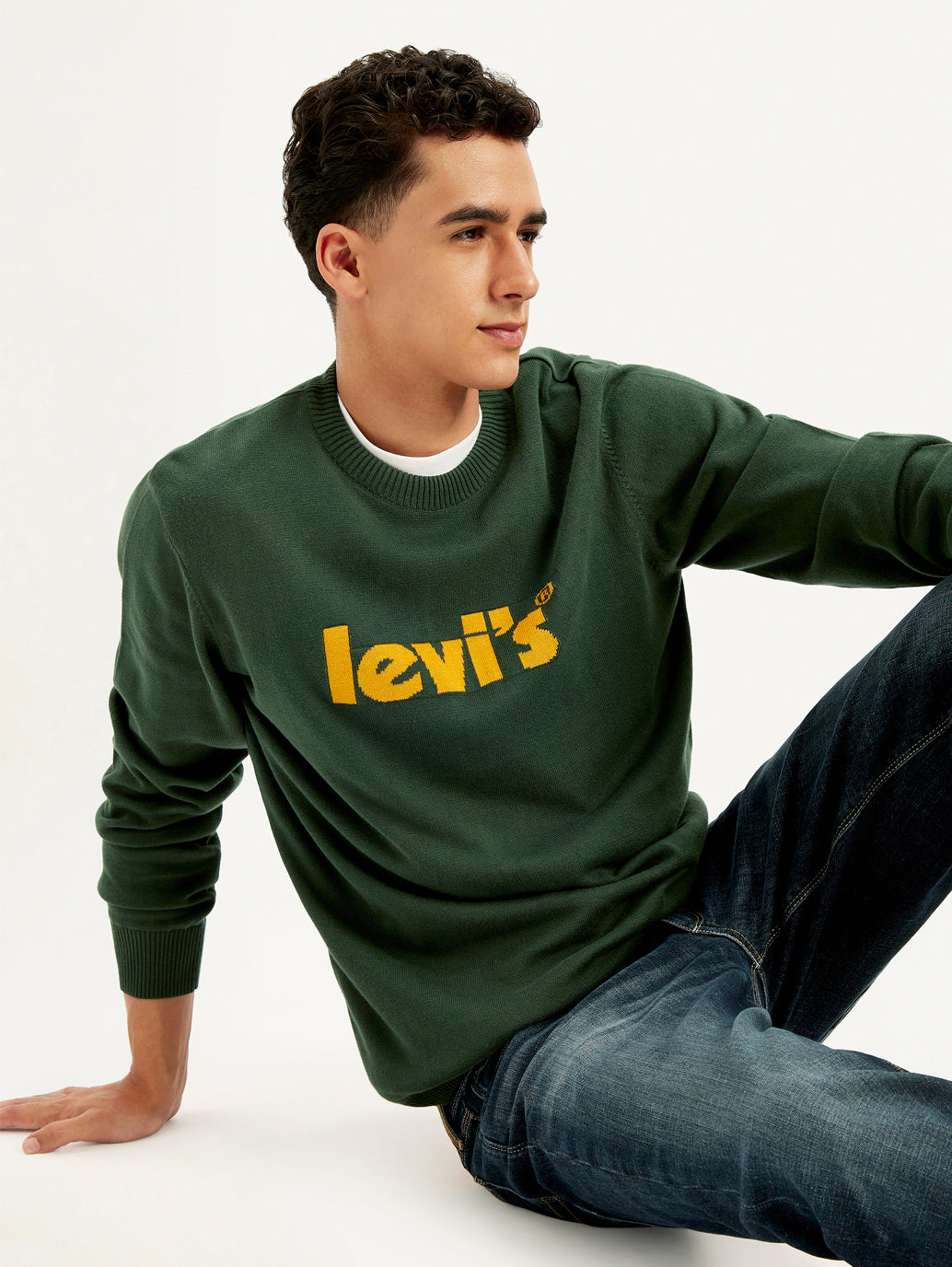 Men's Brand Logo Green Crew Neck Sweater – Levis India Store