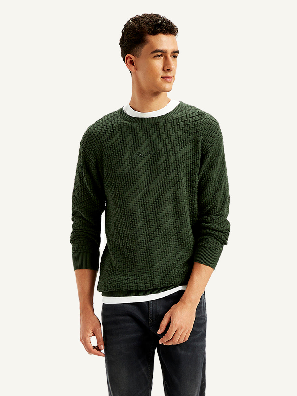Men's Redloop Textured Olive Crew Neck Sweater - Main Image
