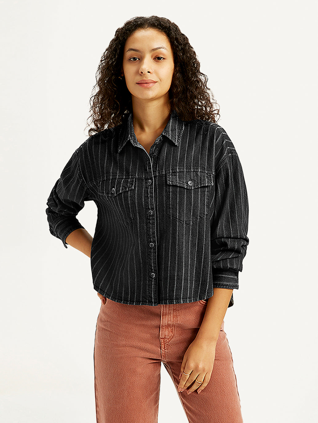 Women's Striped Regular Fit Denim Shirt