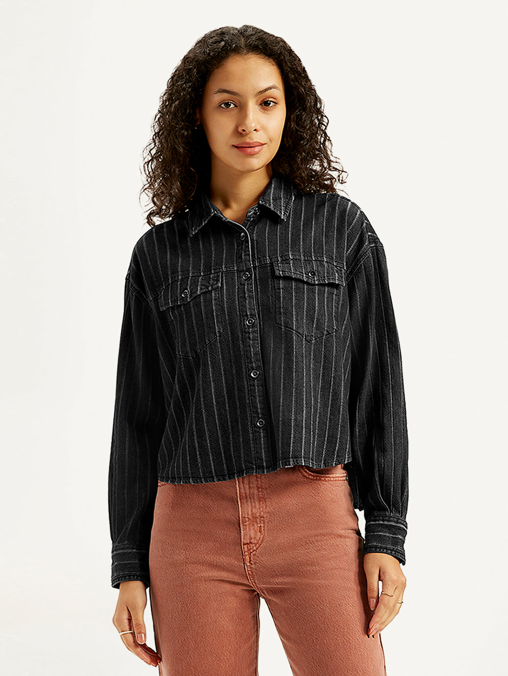 Women's Striped Regular Fit Denim Shirt