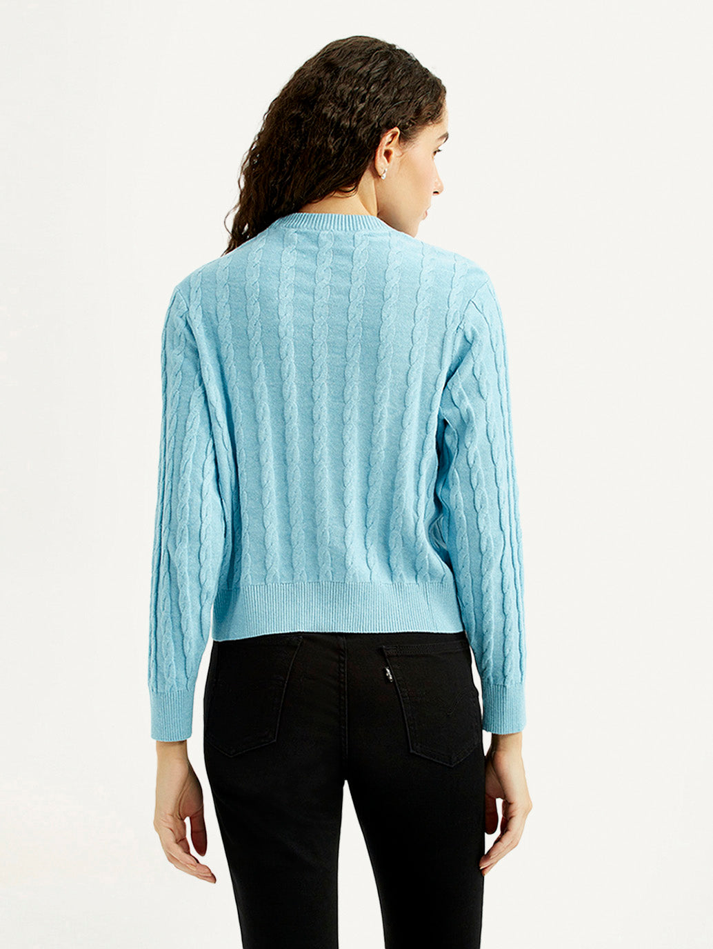 Women's Jacquard Blue Crew Neck Sweater - Back View