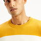 Men's Striped Mustard Crew Neck Sweater - 891b239f-8a7f-4d7f-b147-ddff1e849f45 View