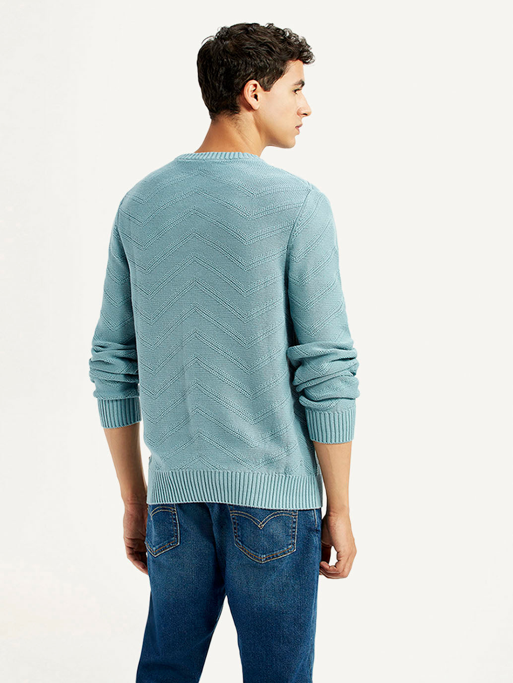 Men's Chevron Light Blue Crew Neck Sweater - Back View