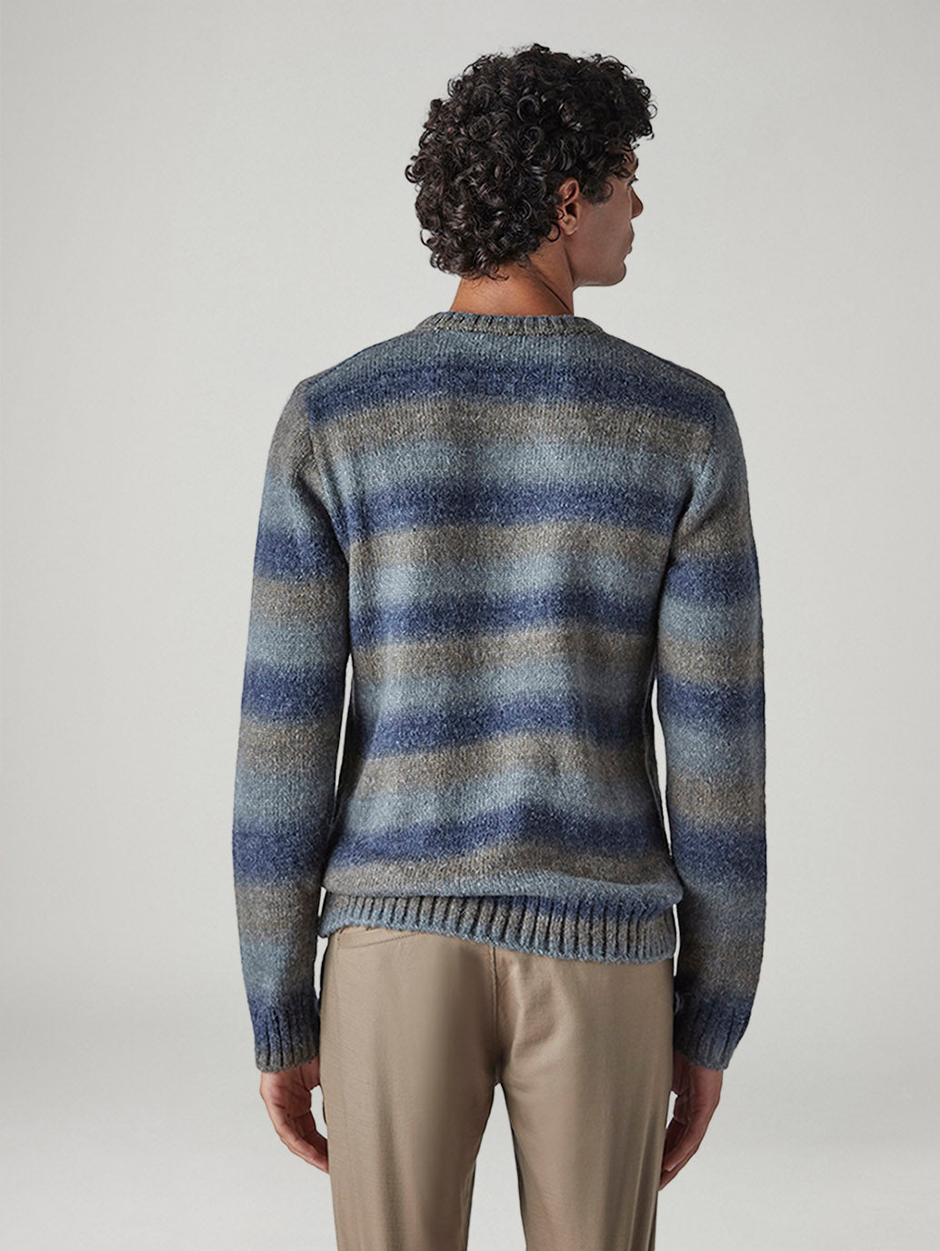 Men's Striped Regular Fit Jersey Sweater - Back View