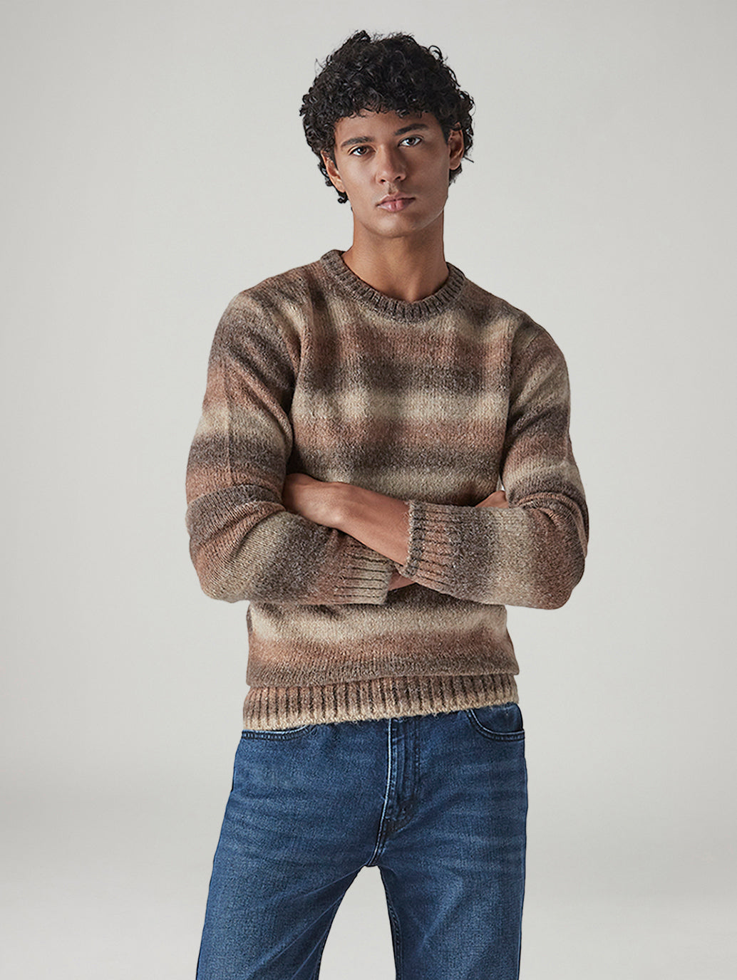 Men's Striped Regular Fit Jersey Sweater