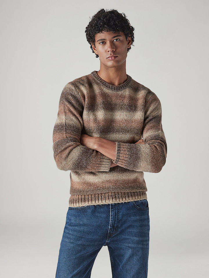 Men's Striped Regular Fit Jersey Sweater