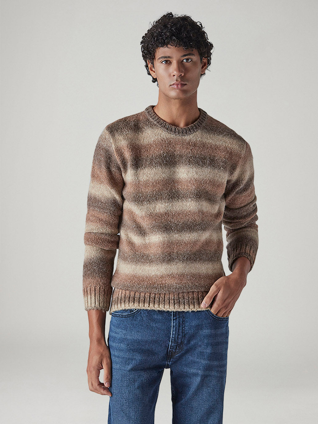 Men's Striped Regular Fit Jersey Sweater - Front View