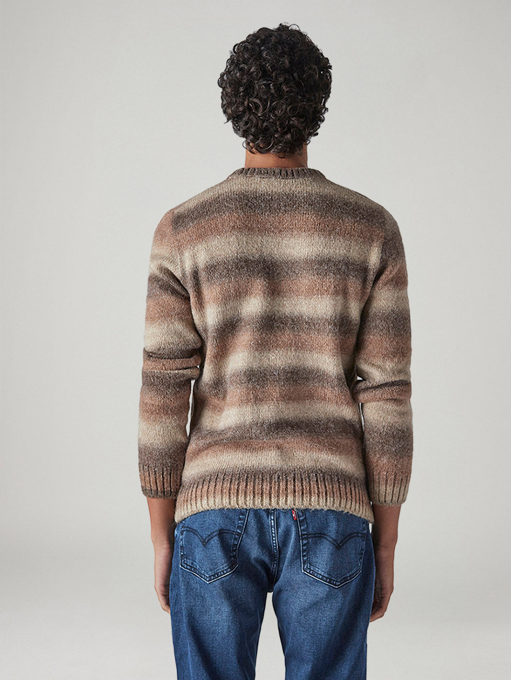 Men's Striped Regular Fit Jersey Sweater - Back View