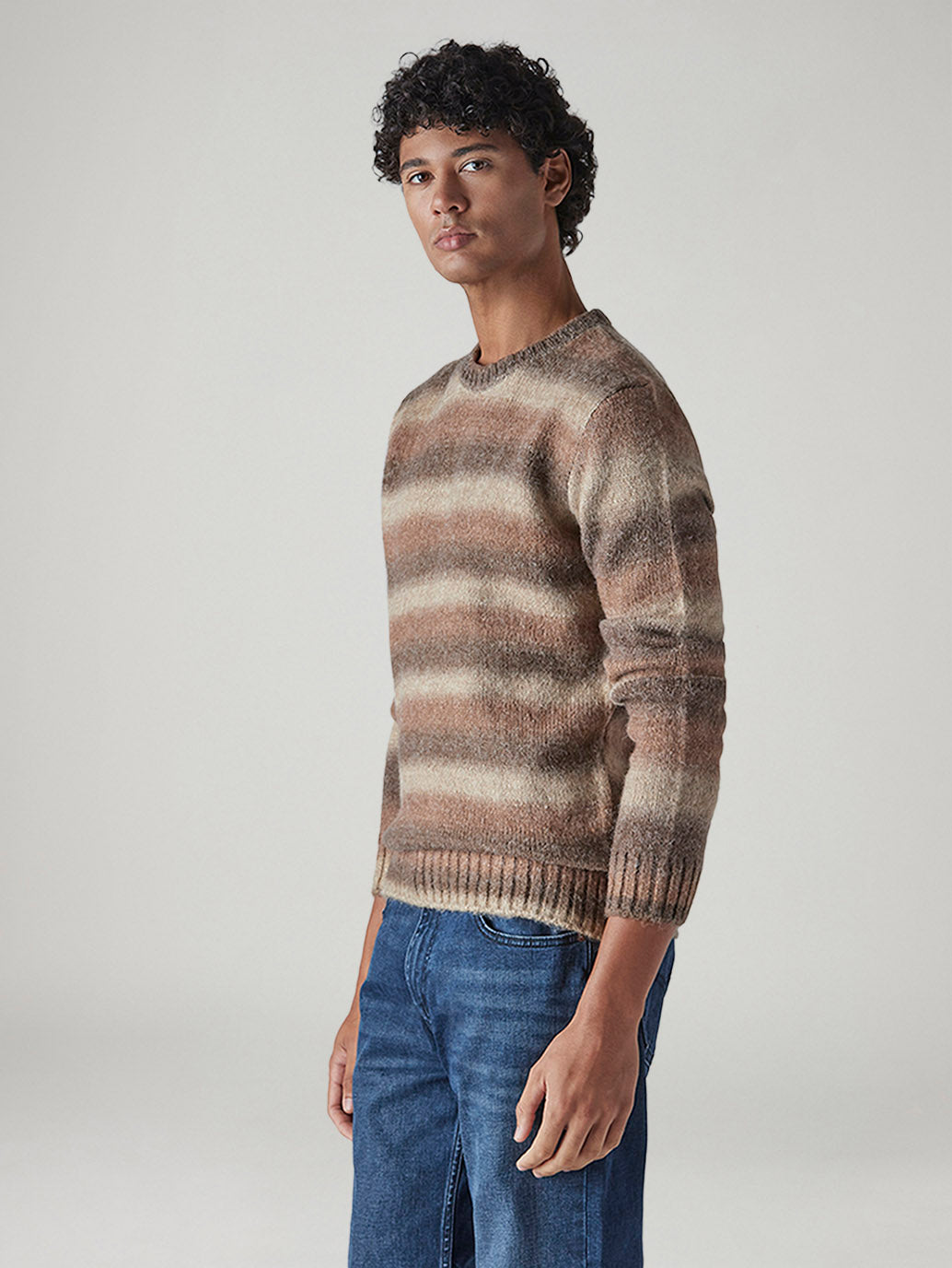 Men's Striped Regular Fit Jersey Sweater - Side View