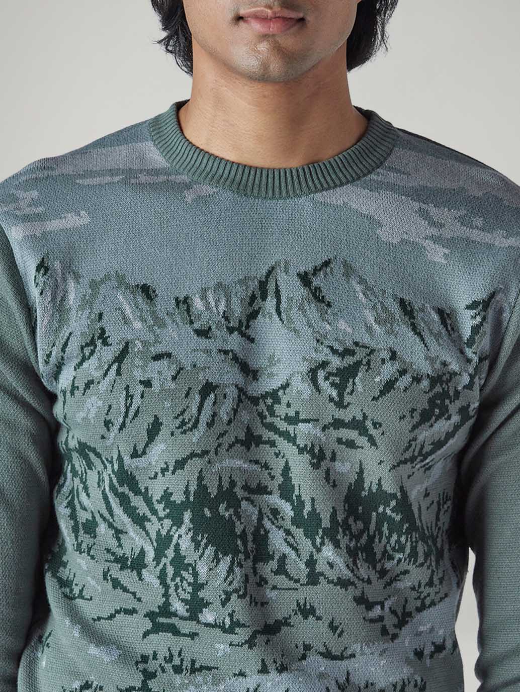 Men's Graphic Print Regular Fit Sweater - detail View