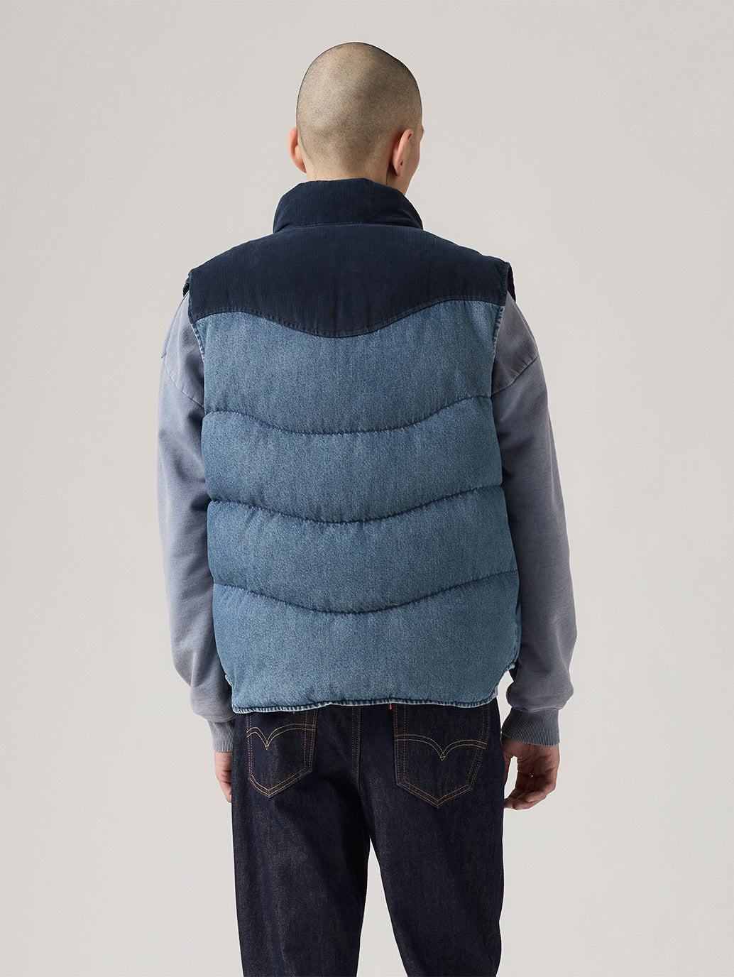 Men Wild West Vest - Back View