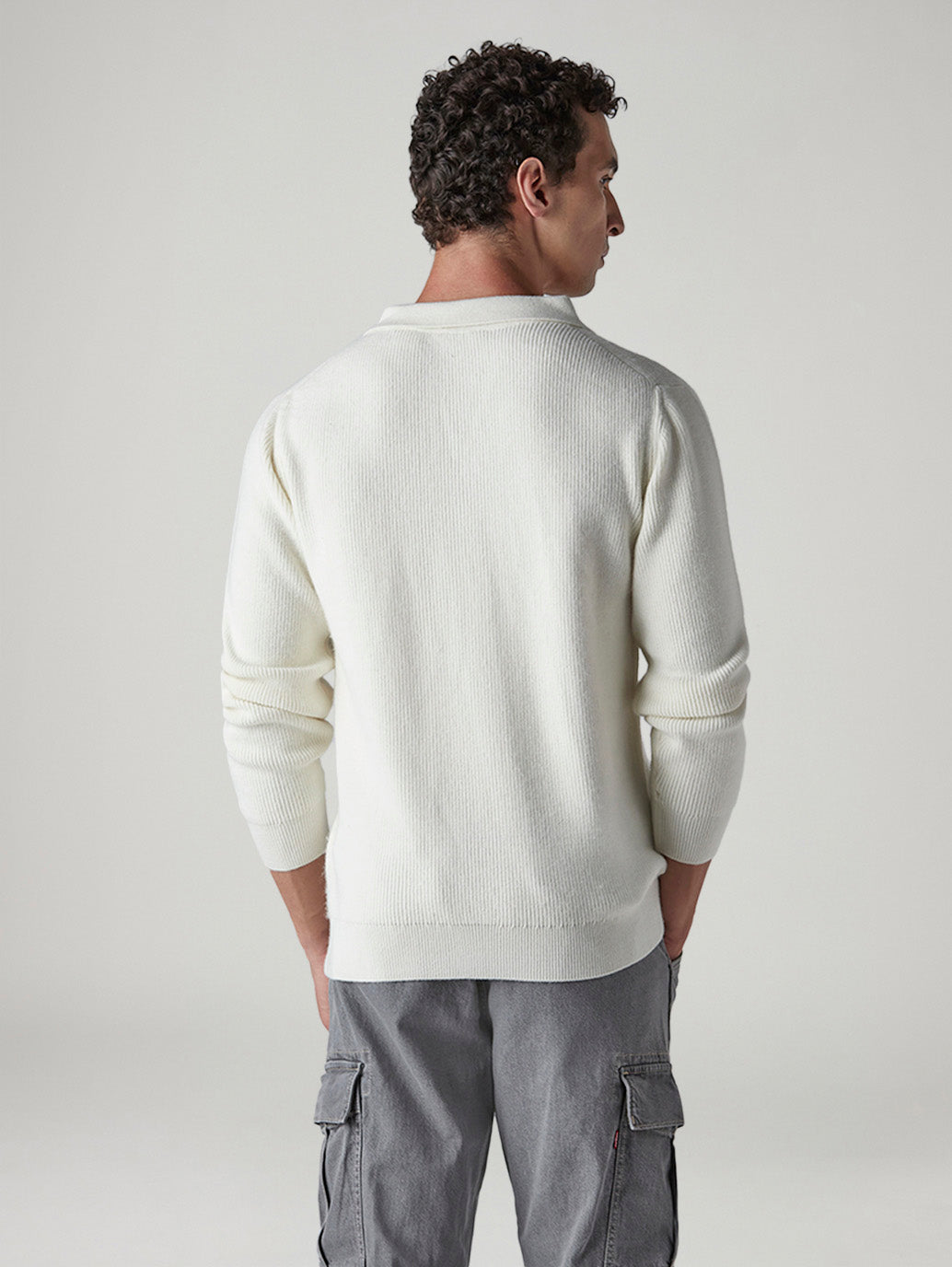 Men's Solid Regular Fit Zip Collar Sweater - Back View