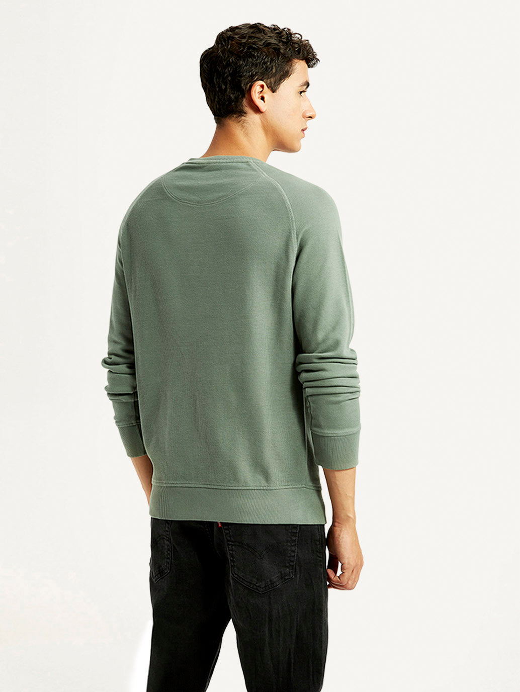 Men's Solid Green Crew Neck Sweatshirt - Back View