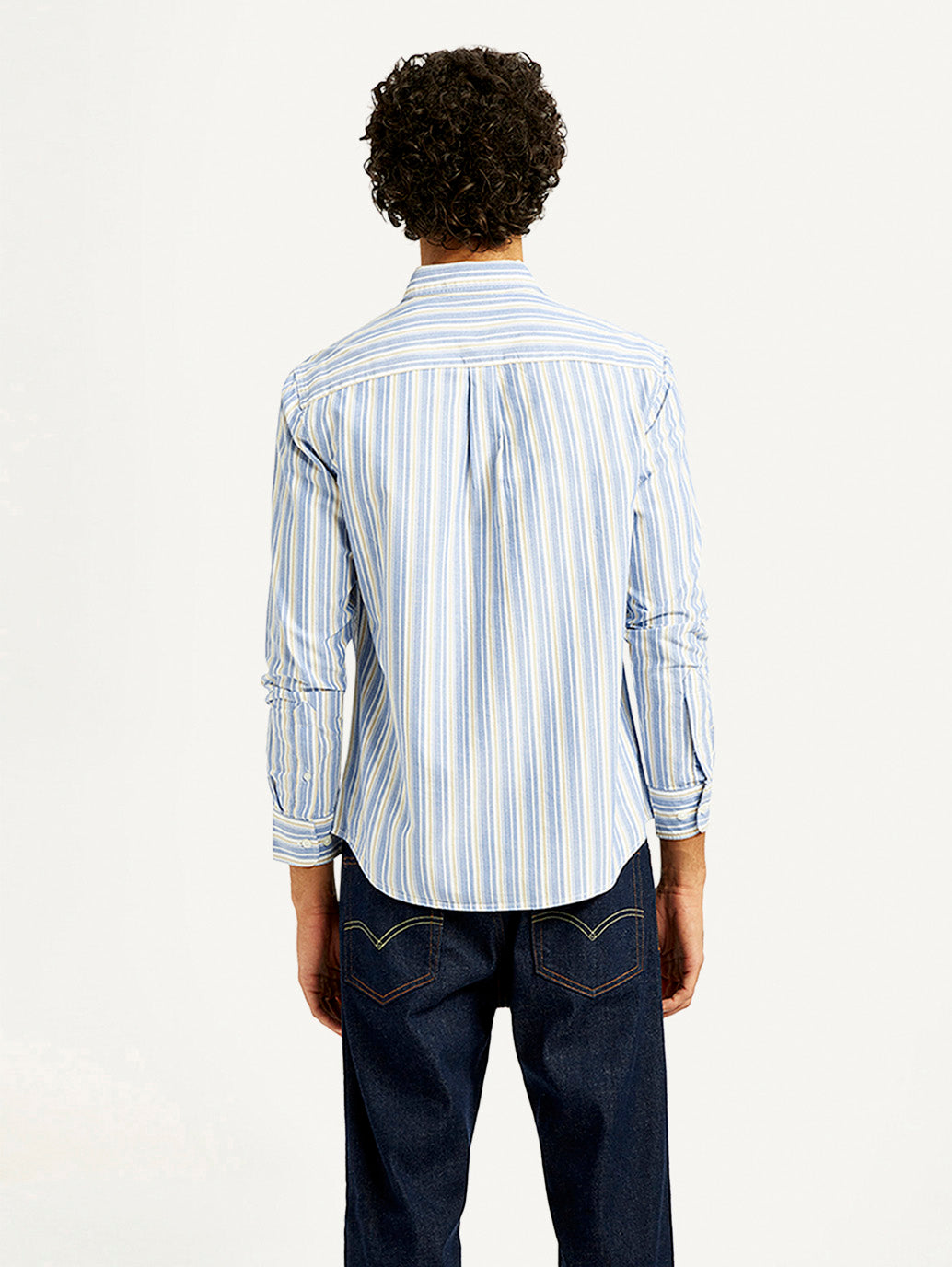 Men's Striped Slim Fit Oxford Shirt - Back View