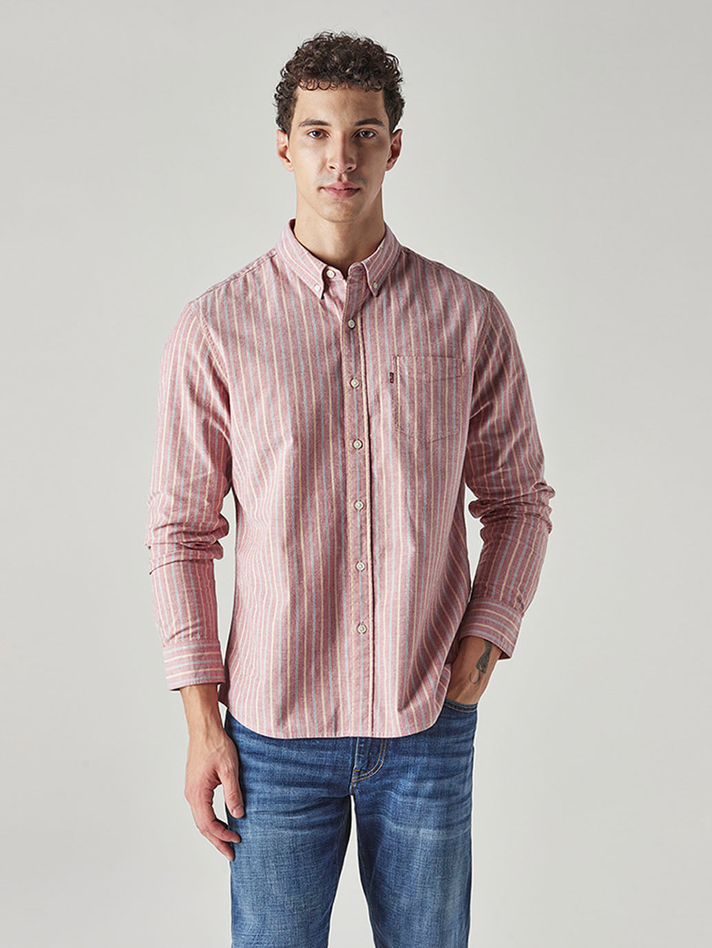 Men's Striped Slim Fit Oxford Shirt - Front View