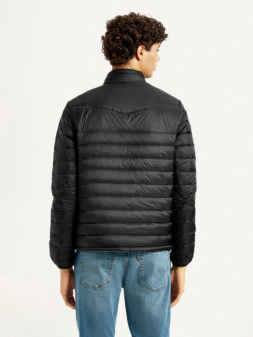 Men's Quilted Black Slim Fit Puffer Jacket - Back View