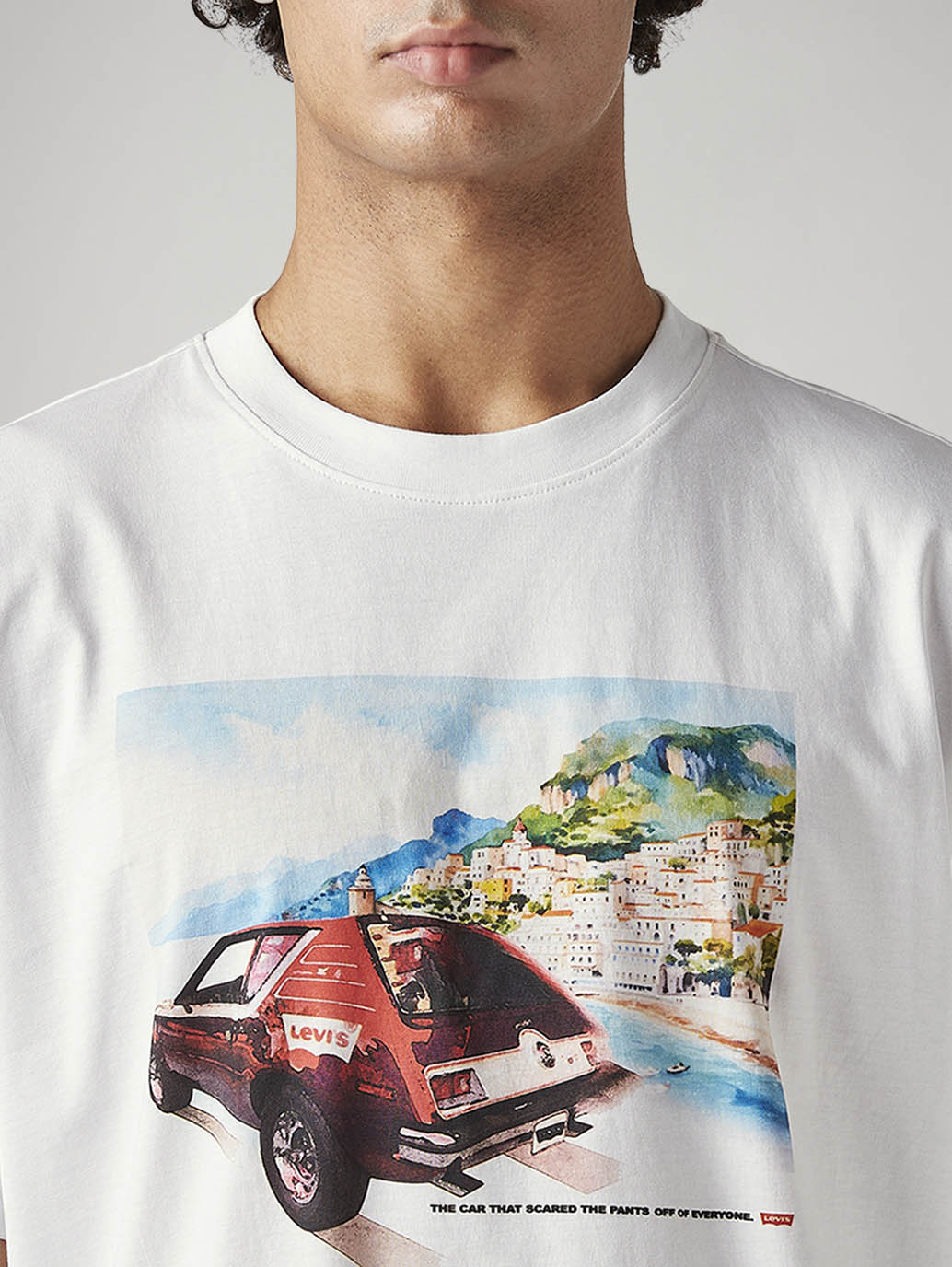 Men's Graphic Print Boxy Fit T-Shirt - Detail View