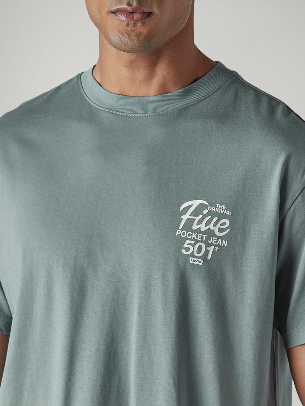 Men's Graphic Print Regular Fit Jersey T-Shirt - detail View