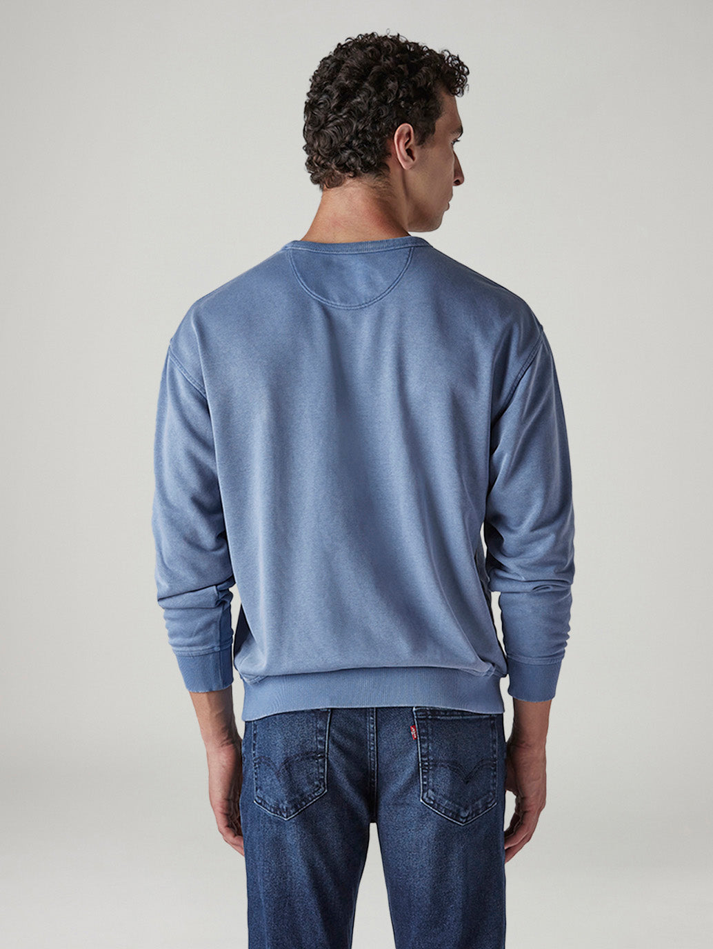 Men's Solid Regular Fit Sweatshirt - Back View