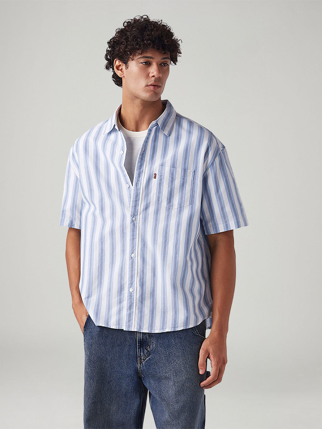 Men's Striped Relaxed Fit Oxford Shirt