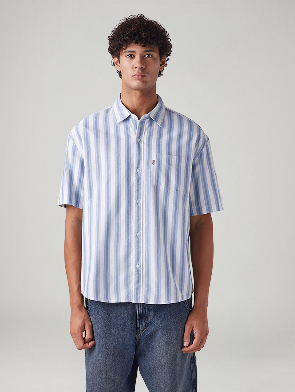 Men's Striped Relaxed Fit Oxford Shirt - Front View