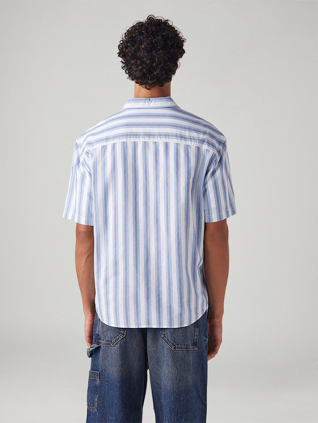 Men's Striped Relaxed Fit Oxford Shirt - Back View