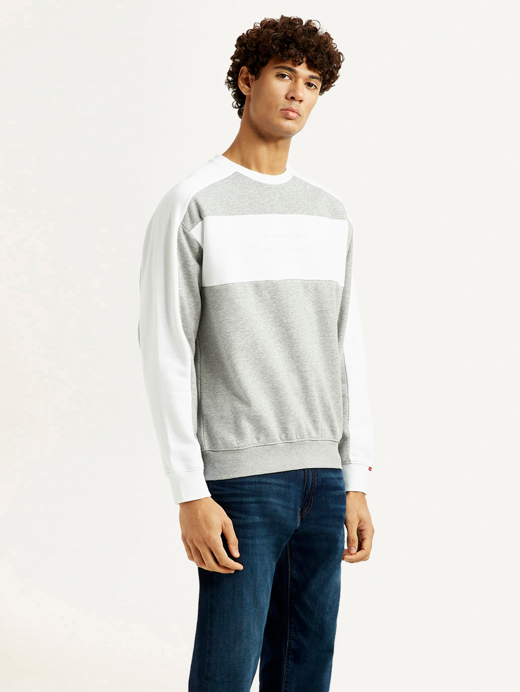 Men's Colorblock Grey Crew Neck Sweatshirt - Elevated View