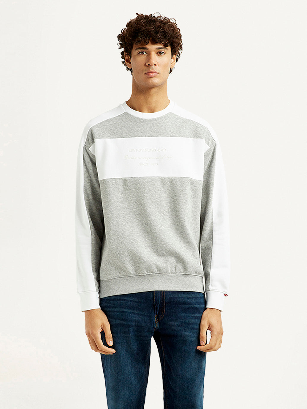 Men's Colorblock Grey Crew Neck Sweatshirt - Front View