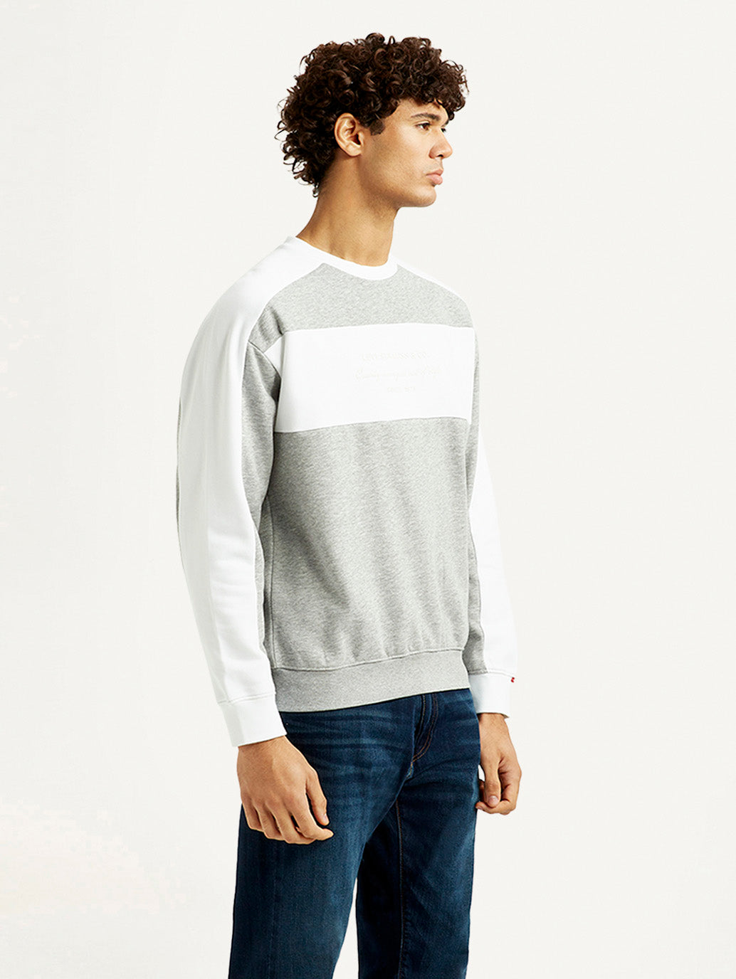 Men's Colorblock Grey Crew Neck Sweatshirt - Side View