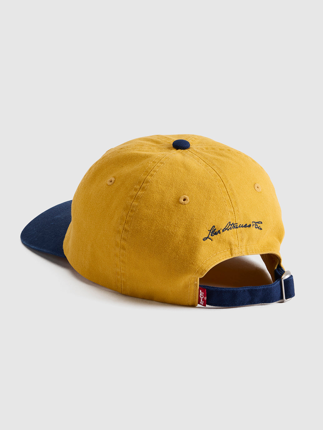 Levi's® Men's Rockridge Dad Cap - Back View