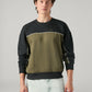 Men's Colorblock Regular Fit Sweatshirt - Front View