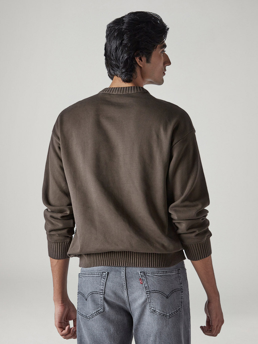 Men's Solid Brown Crew Neck Sweater - Back View