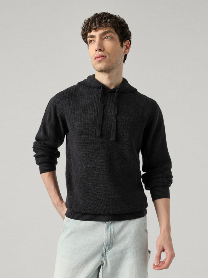 Men's Textured Regular Fit Hooded Sweater