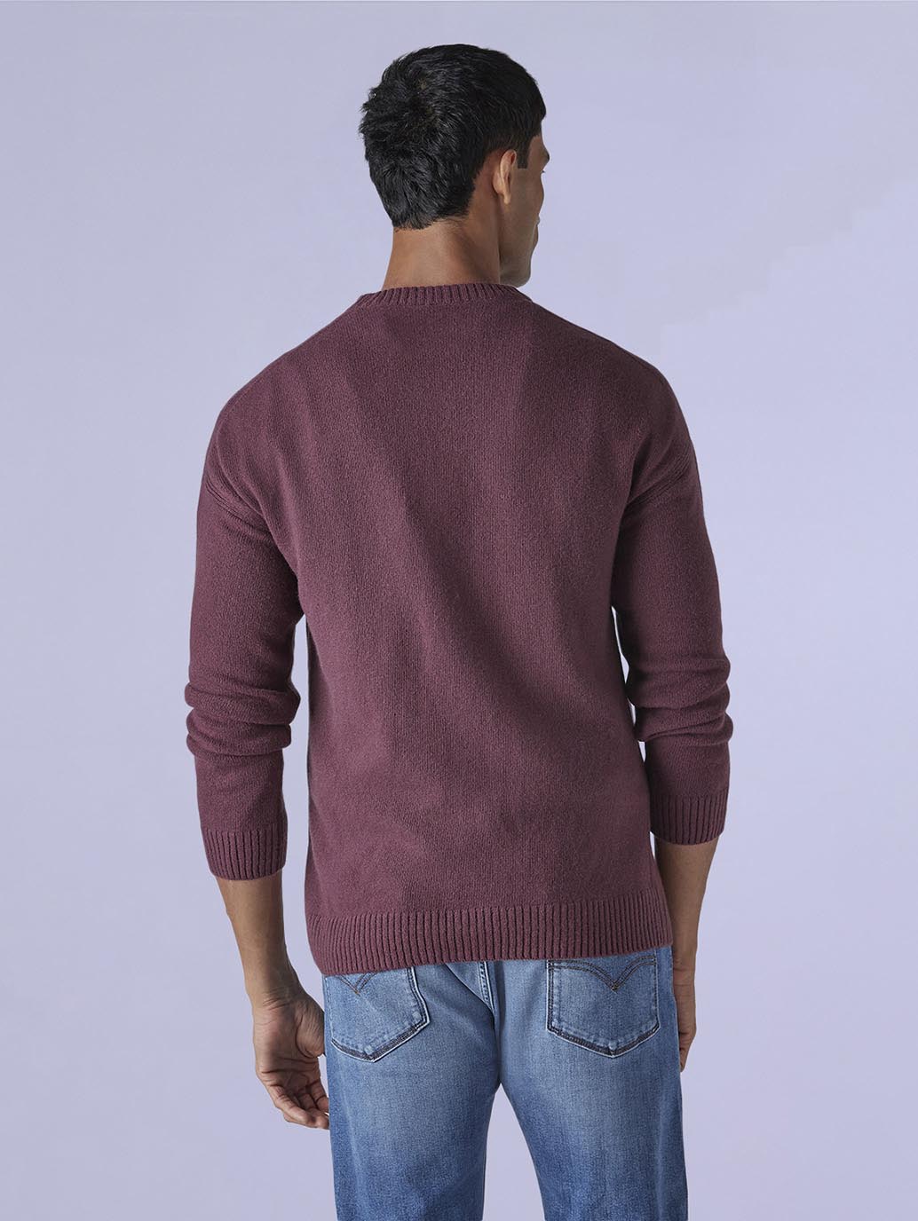 Men's Solid Relaxed Fit Redloop Sweater - Back View