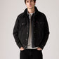 Men's Type III Sherpa Trucker Jacket - Styleshot View