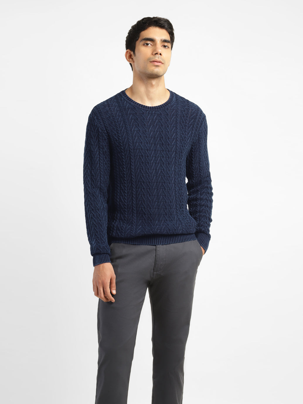 Men's Self Design Navy Crew Neck Sweater – Levis India Store