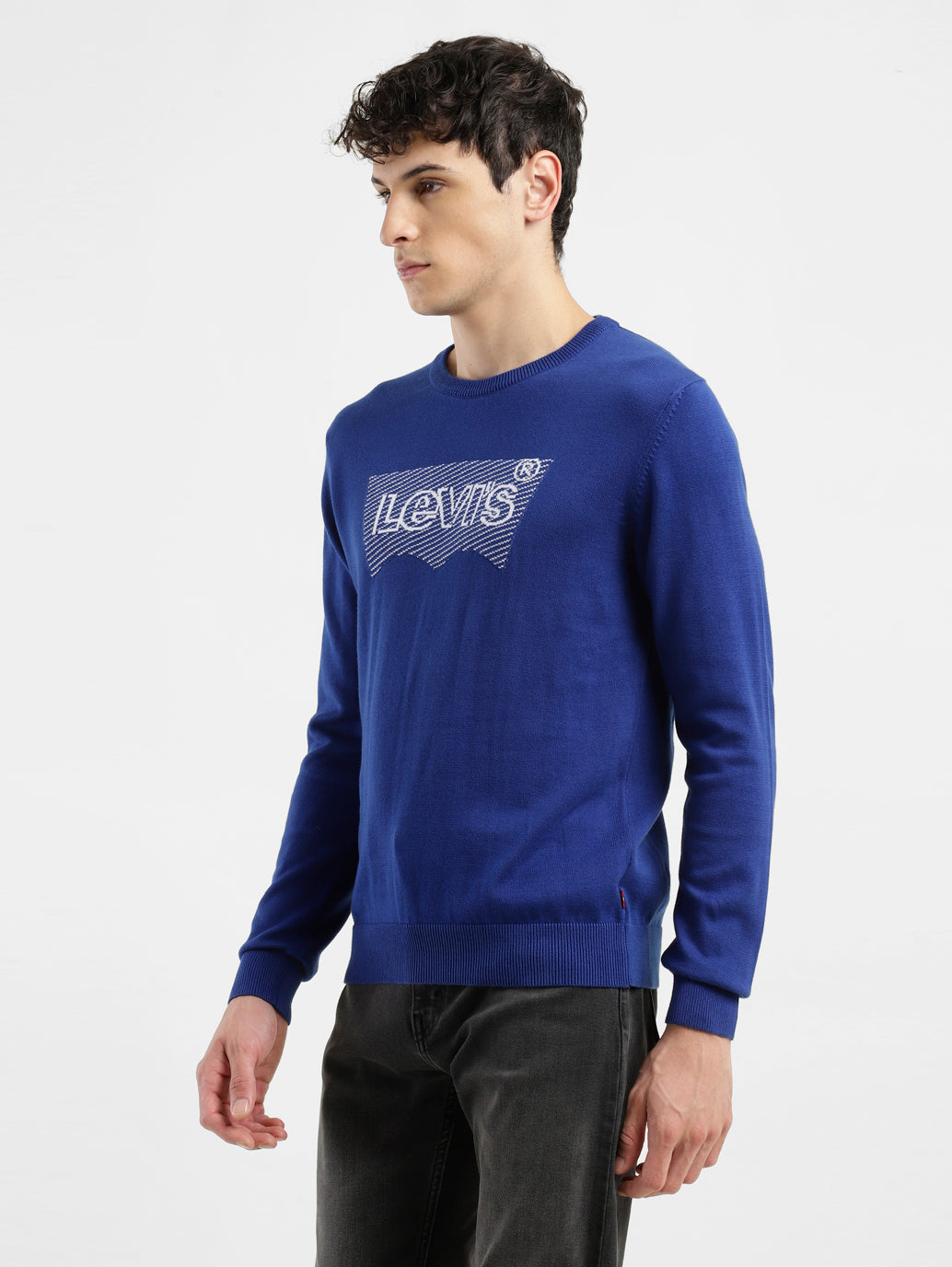 Men's Brand Logo Blue Crew Neck Sweater