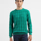 Men's Self Design Green Crew Neck Sweater