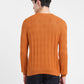 Men's Self Design Orange Crew Neck Sweater