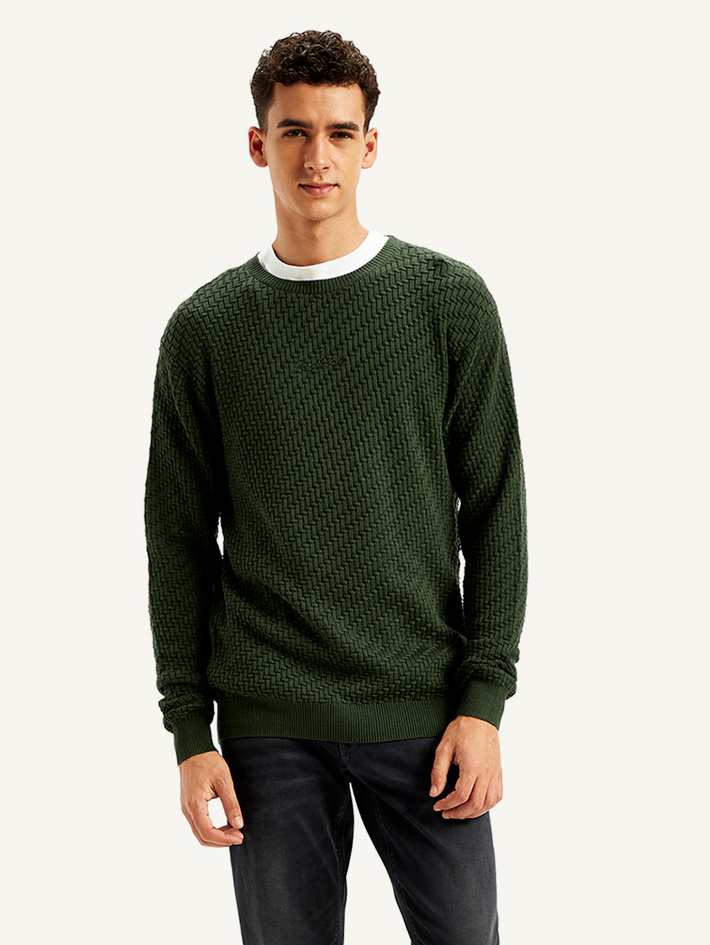 Men's Textured Olive Crew Neck Sweater