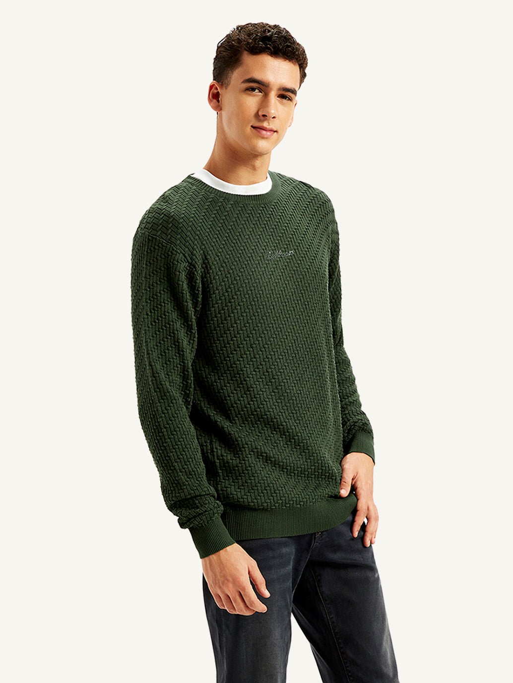 Men's Textured Olive Crew Neck Sweater