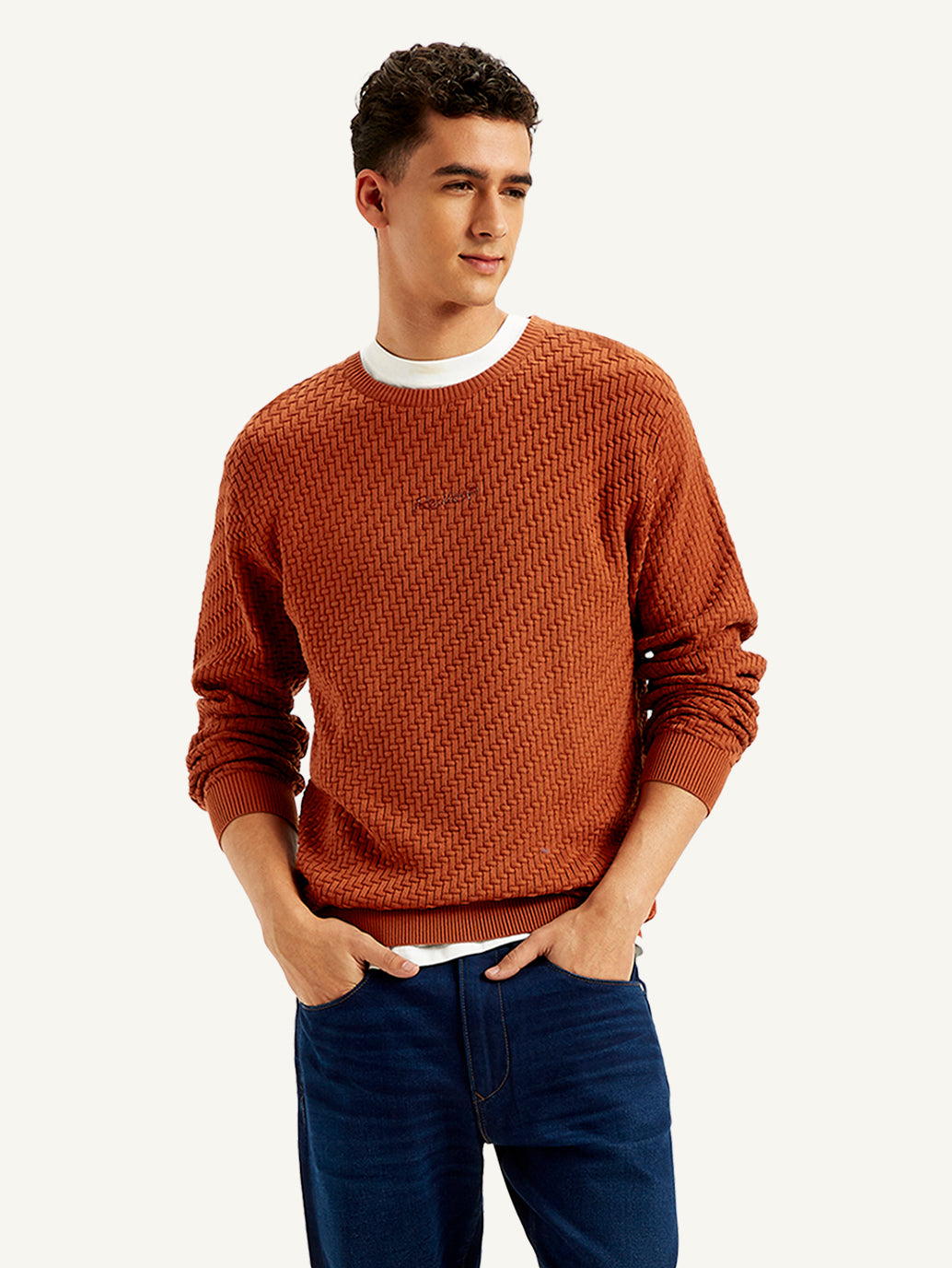 Men's Textured Rust Crew Neck Sweater