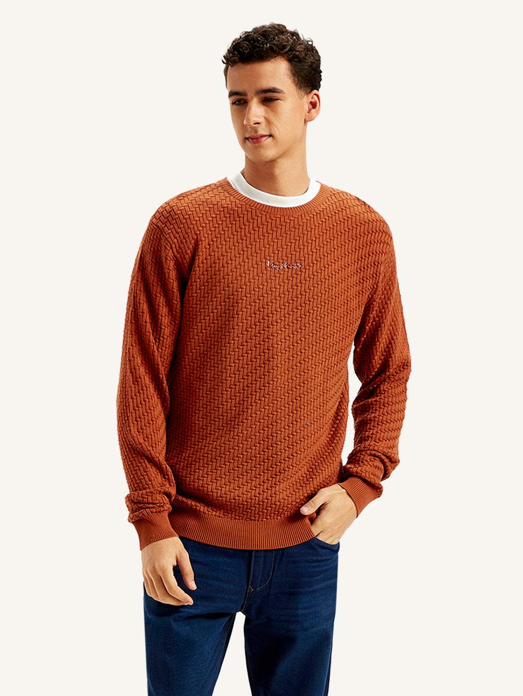 Men's Textured Rust Crew Neck Sweater