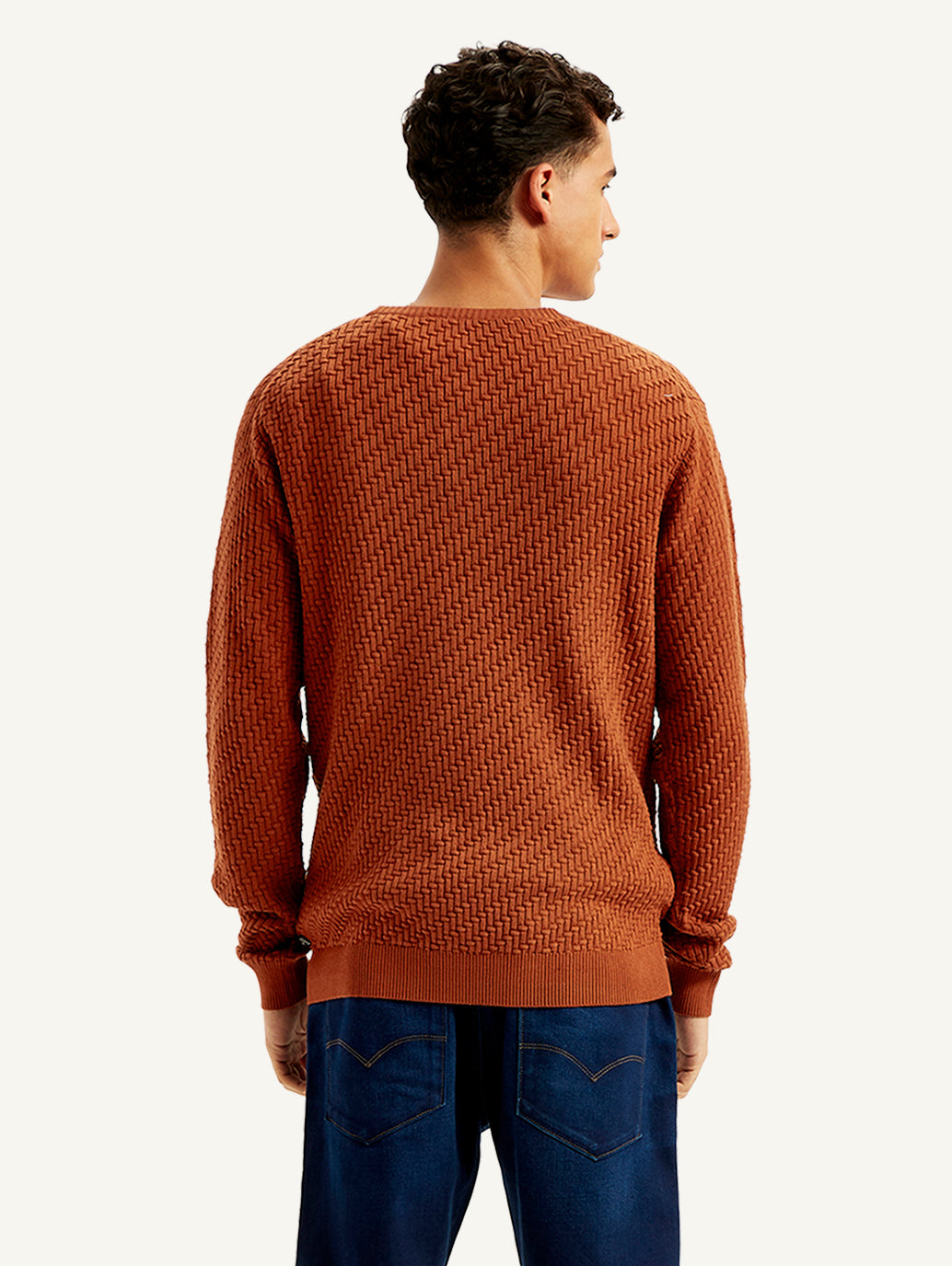 Men's Textured Rust Crew Neck Sweater