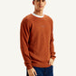 Men's Textured Rust Crew Neck Sweater