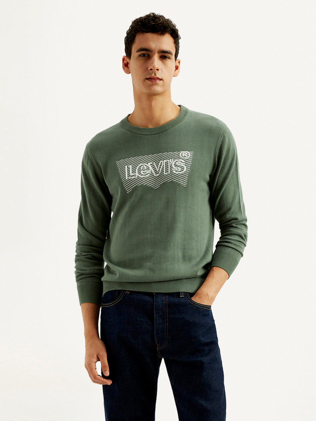 Men's Brand Logo Sage Crew Neck Sweater - Styleshot View