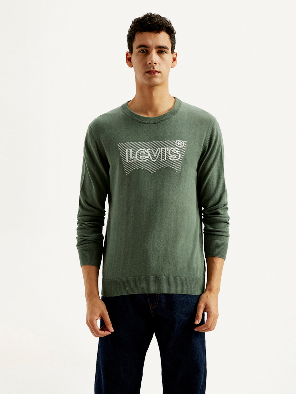 Men's Brand Logo Sage Crew Neck Sweater - Front View