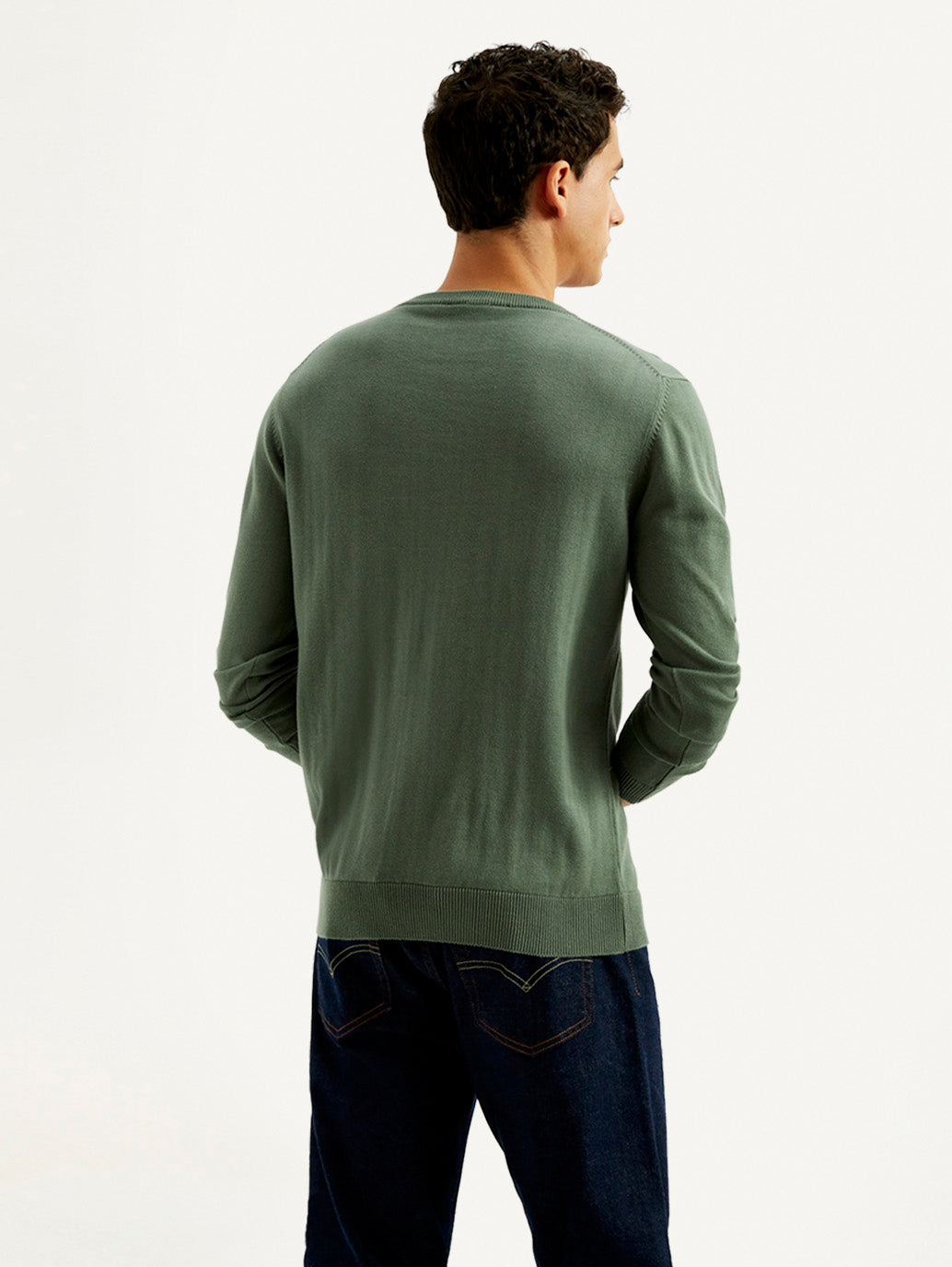 Men's Brand Logo Sage Crew Neck Sweater - Back View