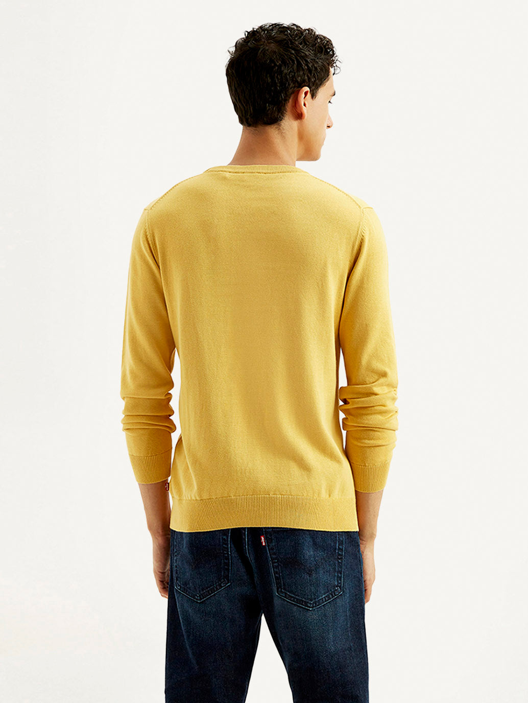 Men's Brand Logo Yellow Crew Neck Sweater - 20Back View