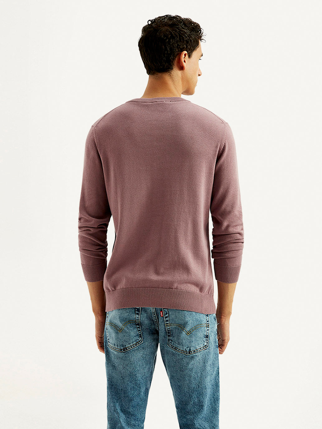 Men's Brand Logo Mauve Crew Neck Sweater - Back View